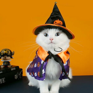  ybg  L ^ nEB RX`[ Zbg ڂ Ƃ񂪂 Xq ݕt }g  킢 p[eB[ ʐ^Be