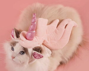  ybg  L  jR[  RX`[  _炩 wbh ANZT[ ʃt@Xi[ 킢 sN ʐ^Be