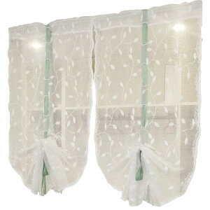 ډB N[[bg J[e  Q rO [ ʋC K[[ t` g o[ Xgbv  sv t