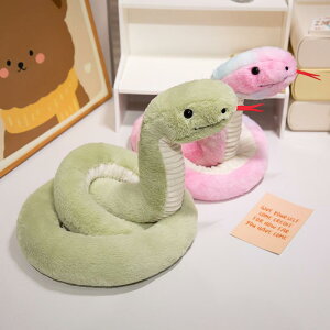  ʂ VN 2025 킢 _炩 }XRbg x  V~[V ObY p[eB[ Mtg q  O Jt  