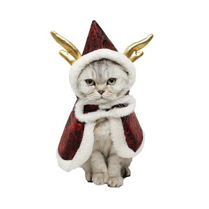 ybg   L ^  t[ht hR p }g RX`[  Te H~ h t[TCY 킢   