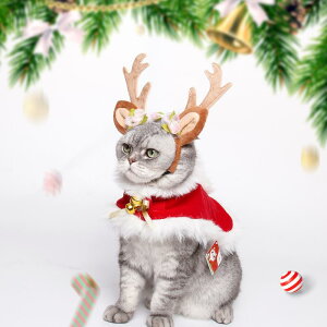 ybg L  NX}X p[eB[ }g ptXq RX`[ Zbg H~ T^N[X giJC ϐg t[TCY ^ 킢