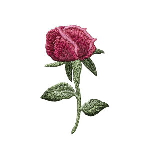 hJ by GKg KN  A AbvP `Ci  DIY ANZT[  C ٖD Vv DKv F sN 