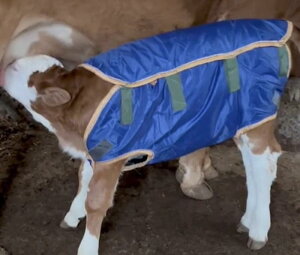 J[t WPbg {Y R[g q ƒ{   h ۉ  N xXg ʖh obN ʃt@Xi[ \ q _pi