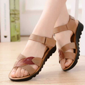 T_ fB[X  VjA  v v tbg\[ \tg\[ K ₷ ~ I[vgD obNXgbv 傫TCY   ig