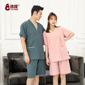 [EFA fB[X Y yA  Rbg pW} z ʋC  傫TCY ؍ 킢  i oX[u