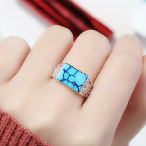 O yA Jbv jp S925 Vo[ g  ΍ XNGA I[vO t[TCY  nhCh DIY Ntg WG[ ΂Ȃ H  GXjbN e