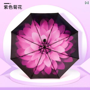JpP jp S ܂肽ݎP d\ UVJbg UPF50 O΍ Ռ ՔM P R[eBO A~ O܂P ʋ ʊw