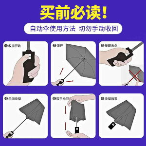 ܂肽ݎP jp J Jp RpNg y 悯 J悯 Ռ O΍ UVJbg R[eBO v 10{ 12{ 傫TCY ʋ s ubN lCr[ p[v