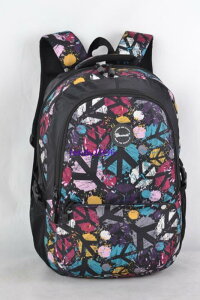 bN w wp ؍ XN[obO JbW ԕ PC[ IbNXtH[hn H ʊw ig JWA e