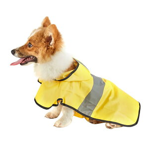 pCR[g ^ ^ lr tJo[ h h CG[ efB ViEU[ rVt[[ R[M[ U o h~ J