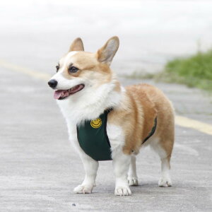  R[M[ ^ ^p ybgEFA h xXg ^Cv J h h g ₦΍ U o |GXe