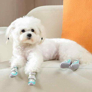 pV[Y h JC Cu[c ~ Eɂ ی ybgp I[V[Y H~ Jo[ u[c ^ ^ U AEghA 4Zbg