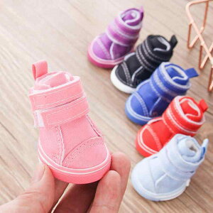 pV[Y ^ q LoX Xj[J[ ~ Eɂ 4Zbg U AEghA |jA rVt[[ hbOu[c ^C K y u[ sN ubN