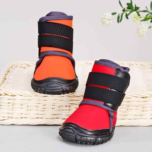 pC ^ ^ ~ h ϋv Cu[c TGh S[fgo[ gCv[h tH ی Up AEghA