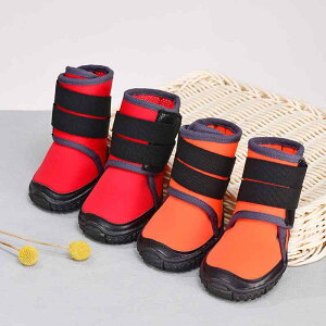 p hV[Y ^ ^ I[V[Y hbOu[c ~ U C ی AEghA EH[LO ʋC