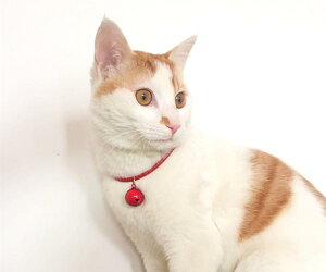  ^ Lp ^ q v U[ Jt FWJ  U op ig  킢 v