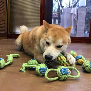 p q ^ efB R[M[  f^PA C v ϋv ݉ [v і {[ Rbg XgX