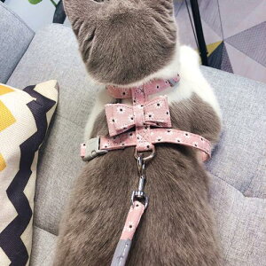 Lp n[lX [h  UObY Eh~ ɂ qh~  Lk o o O[n u[n lCr[ sN