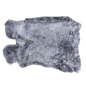 A[Xgpbh ԗp Z^[R\[{bNX v bLXt@[ ėp^Cv ӂӂ G KNbV Ԏ hCu J[pi