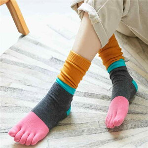 \bNX fB[X ܖ{w nC\bNX [Y\bNX キ ؍ XN[X^C  Rbg  ʊw ig 4Zbg