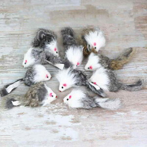 Lpߋ lY~^ JVJV tFCNt@[ t@[ H Jt L炵 ^s XgX lV p ނ {\h gC