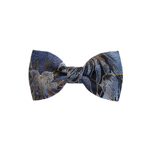 lN^C Y jp  p[eB[ VY Yl tH[} WK[hD ԕ   {E^C