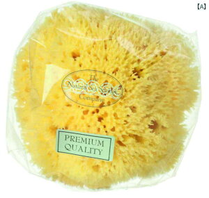 {fBuV T{e ؖ  hCubVO p oX C ̐  Onh wp pPA XLPA