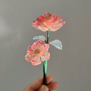 񂴂   fB[X o  a  g ANZT[