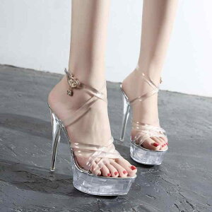 T_ fB[X 15cm׃q[ NA  ZNV[ |[_X iCgNu Xe[WV[Y p[eB[ I[vgD ANXgbv  PU