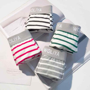 {NT[pc Y jp XgCv [CY Rbg {NT[u[t A_[EFA  U^̍\ z ʋC K ig X|[c w  4g