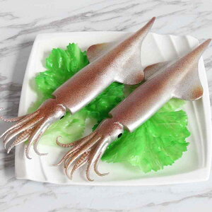 HiTv A CJ V[t[h o[xL[ Ă fBXvC ͌^ Xܗp HXp Bep tFCNt[h CeA