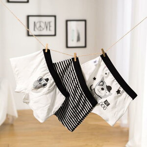 pc j̎q LbY 95% |E^5% {NT[pc z Ci[ I[V[Y q  j̎q c w fC[ KSn