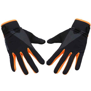 O[u Y fB[X ttBK[ g[jO ؗ _x  ] TCNO t ~ ʋC ی