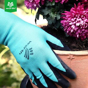 | K[fjOO[u d A Ԓd   G ˂hh~ gQ΍ h ϋv ~߉H jZbNX t[TCY u[ sN jp