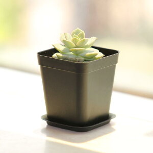 A Aؔ cp ~jTCY vX`bN ` XNGA^ Jt y ^  O K[fjO ϗtA |bg