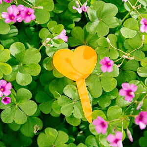 Ax |p A n[g^ vX`bN  ό UVJbg LxȃJ[ K[fjOp ԙ  x_