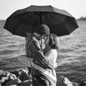 P Y fB[X jp S ܂肽 ^ lp Jp h ϕ ΍   XeX |GXen w ʋ ʊw rWlX ig 