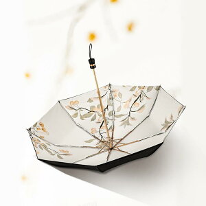 JpP fB[X g ܂肽ݎP w\ UVJbg Ռ ՔM y RpNg A~ 3܂ gїp nubN