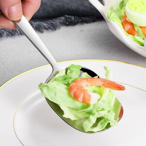  XeX  e 蕪 Xv[ [h XL}[ ze Ɩp ƒp 痿 X[v rbtFp