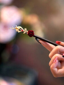 񂴂   fB[X ؐ   a   V wAANZT[ i