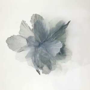 񂴂   fB[X a  w  ڂ ӂ ԏ t[ ^bZ h 킢 VtHwAANZT[ cq Vj