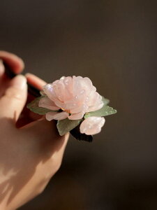   sN 䉖  O   `Ci wAANZT[ Ք `