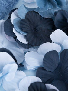 hX q ̎q vZXhX  t[K[ \ sAm tH[} Zj[ i y₩ ӂ `[ {[ O p[eB[ u[ t