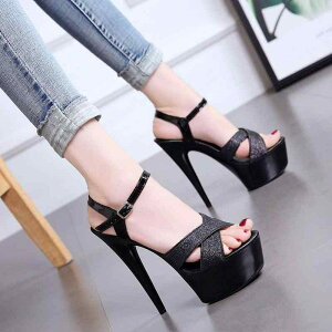 T_ fB[X 16cmq[ sq[ Xg[  I[vgD ANXgbv [}T_ ~  ZNV[ ubN