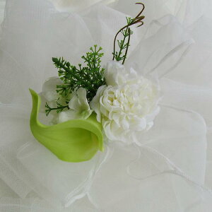 J[e t[ ^bZ z  킢  Q rO [XJ[e ߋ i Jg[  Jg[