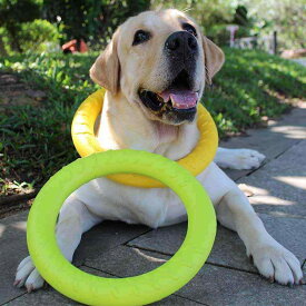 犬用おもちゃ 子犬 中型犬 大型犬 ゴールデンレトリバー ラブラドール 歯磨き デンタルケア ストレス解消 運動不足解消 丈夫な 噛むおもちゃ 耐久性 頑丈 ラバー製 リング型 ゴムボール しつけ 遊び 留守番トイ