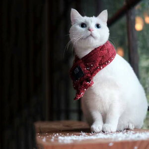 ybgp }t[ lbNEH[}[  L ^p ю jbg 킢  h |jA ViEU[ rVt[[  U H~