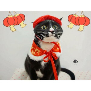 Lp ANZT[ VN  `Ci    {A lN^C {^C  }t[ L ^ 킢  CG[ bh