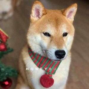 ybgp}t[ Xk[h  L H~ NX}X jbg ю g h {[_[  ^ ^ ^ U o